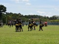 Tn dsc 1124